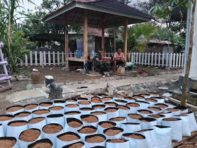 Green House Melon Green Heaven