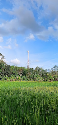 Gubuk jati