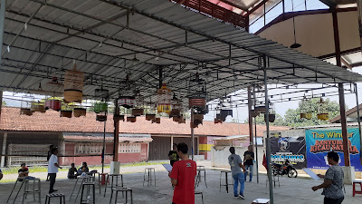 HAMMER_BC Bird Arena