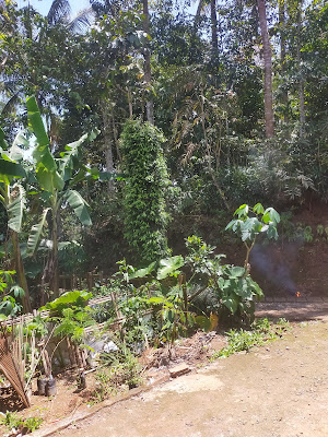 Hilal Jaya
