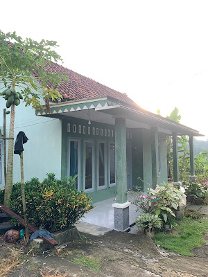 House Of Alv