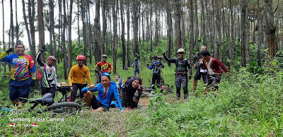 Hutan pinus Karang Kemiri