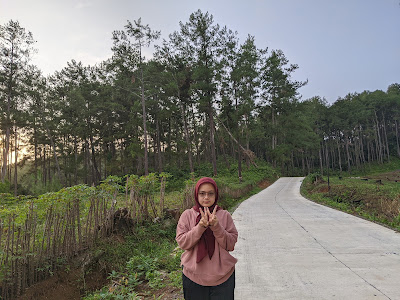 Hutan Pinus/Sempayak