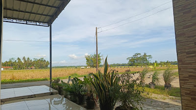 ICA PCM