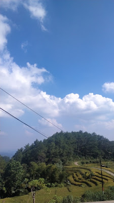 Igir Kartun