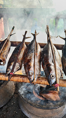 IKAN ASAP BARI JENGGOT
