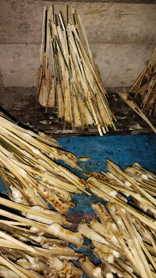 IKAN ASAP GAPITAN BERKAH MANDIRI CILACAP