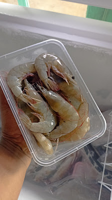 Ikanocean.pwt
