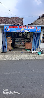Indra aqua bird 1