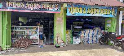 Indra Aqua Bird 2