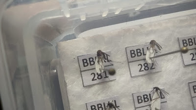 Insektarium Loka Labkesmas Pangandaran