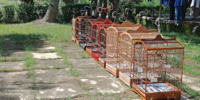 Inspirator Bird Farm