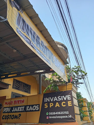INVASIVE SPACE