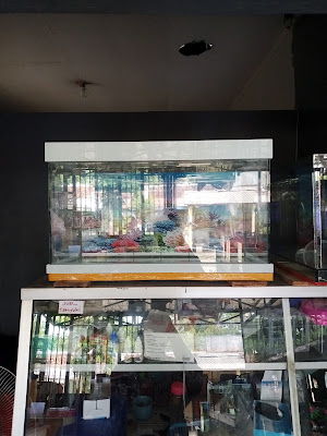 Istana hobiku