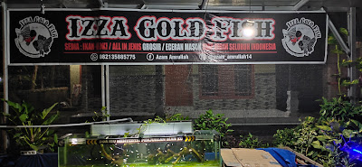 IZZAGOLDFISH