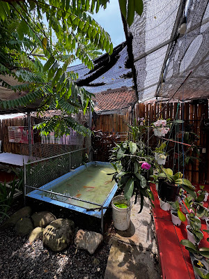 Jamur Resto Majenang