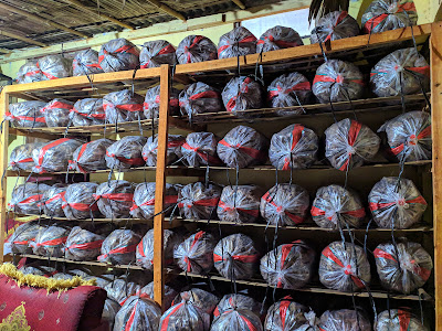 JANGKRIK MULYO Corp. (JMC)