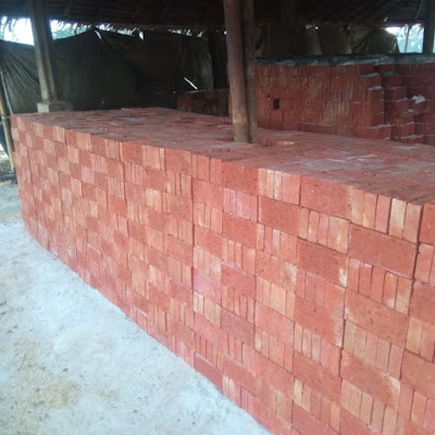 Jual Bata Merah,Marino Bunton
