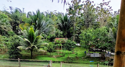 Kadubera Lesehan Bakar Ikan