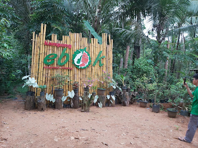 Kampung EBOK
