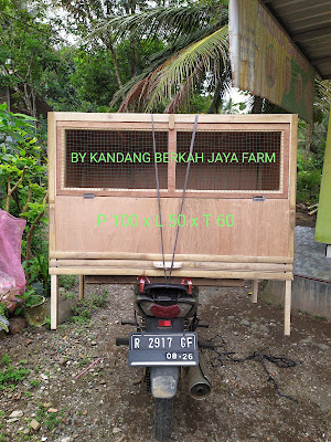 Kandang berkah jaya farm