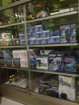 KANZU AQUARIUM & ANEKA IKAN HIAS