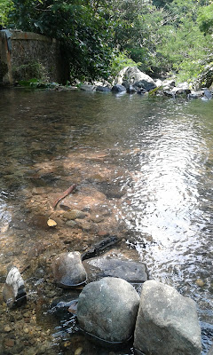 Karangan kebun