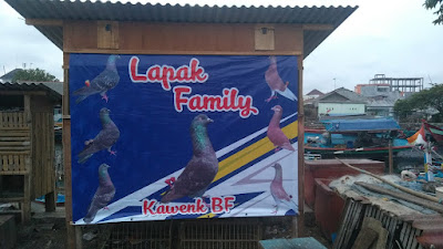 Kawenk Bird Farm
