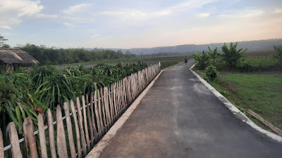 Kebun buah naga pekunden