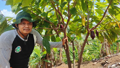 Kebun kakao Edukasi Kedungborang
