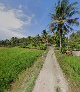 Kedung pring