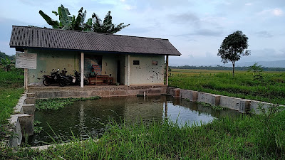 Kelompok Petani Ikan Desa Bajong