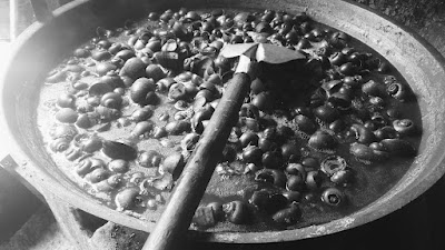 Keong Kraca "Bu Makmoer"