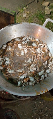 KERANG JOMBLO
