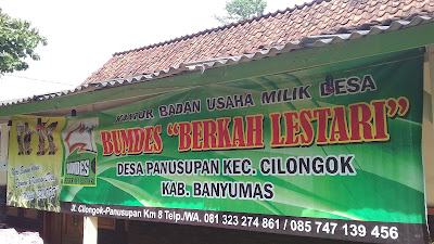 Keripik Pisang Melly Sari