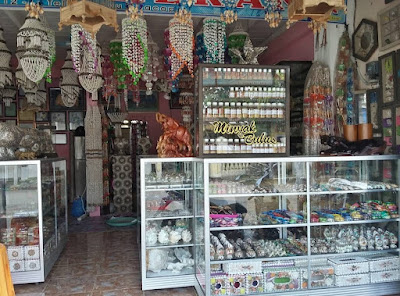 Kharisma Kerang Indonesia