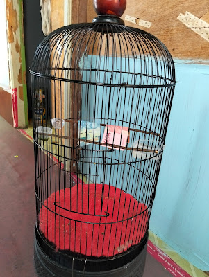 Kicau burung kecil