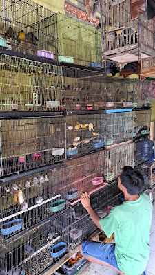 Kios Burung Ade Jaya