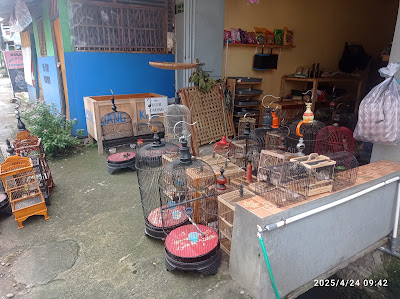 Kios burung akram