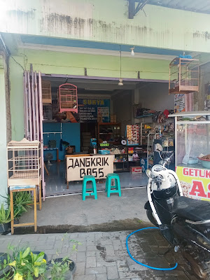 KIOS BURUNG OLALA