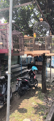 Kios Burung Pak Bari