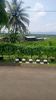 Kolam pemancingan Siduda Lamuk
