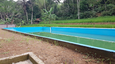 Kolam Renang dan pemancingan Gina