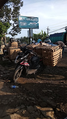 komunitas penjual ayam
