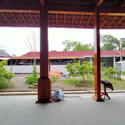 Koperasi Pegawai Negeri Sedar