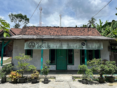 KOPI PINUS