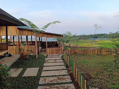 Kopi Waifi