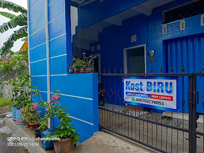 Kost BIRU
