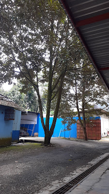 Laoak pandawa