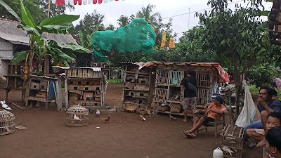 Lapak Hora Hore Jetis